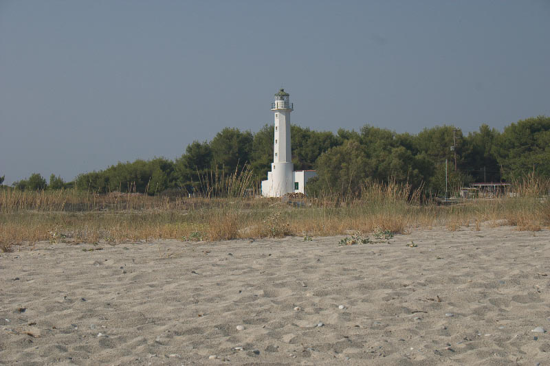 CRW_1482