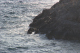 CRW_1378