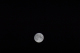 CRW_1408