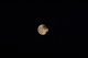 CRW_1420